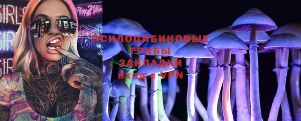 СК Абдулино