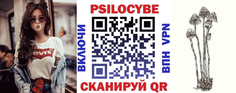 МЕГА онион  купить наркоту  Тимашёвск  Галлюциногенные грибы Cubensis 
